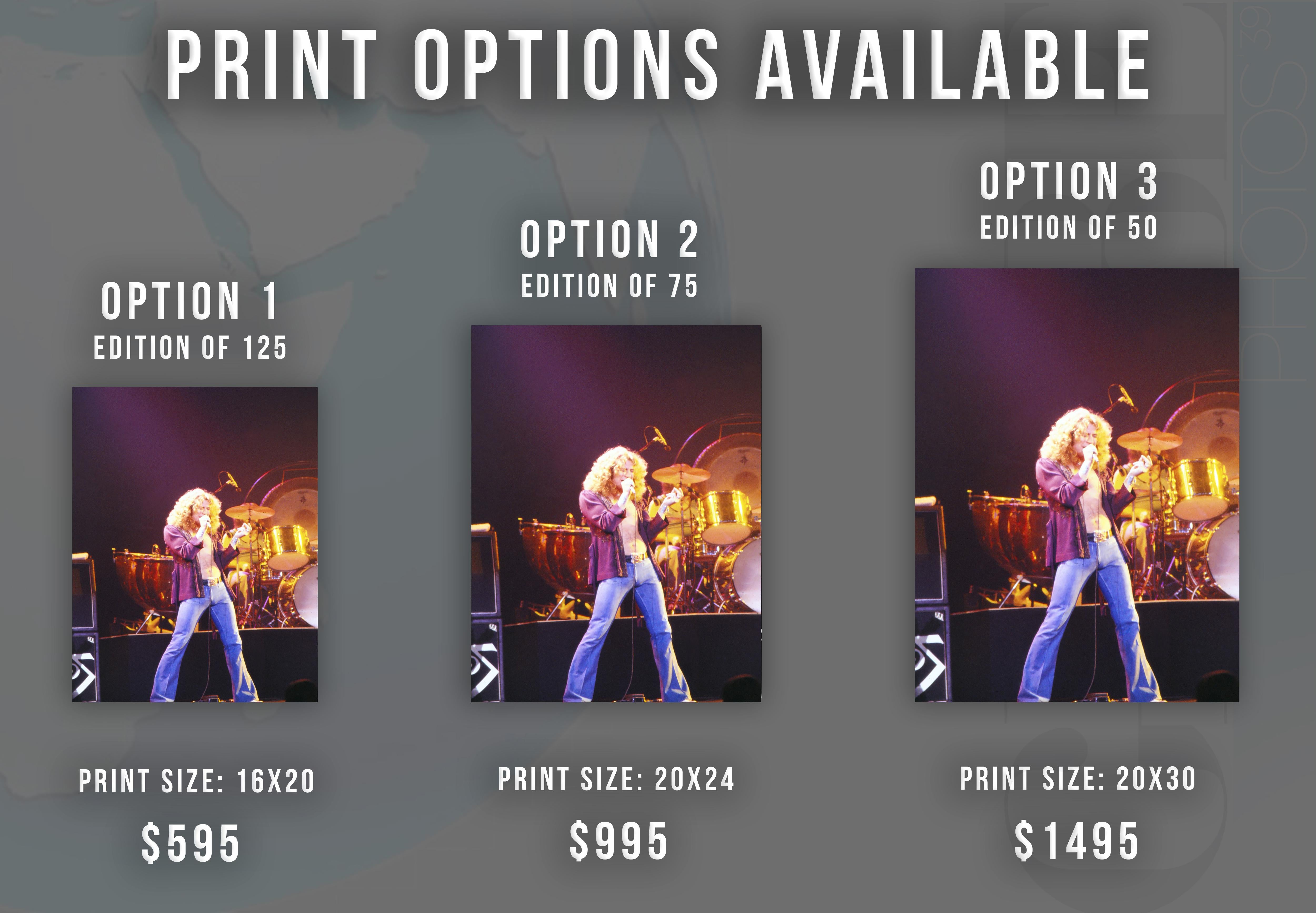 Robert Plant of Led Zeppelin Singing on Stage Fine Art Print - Photograph by David Woo