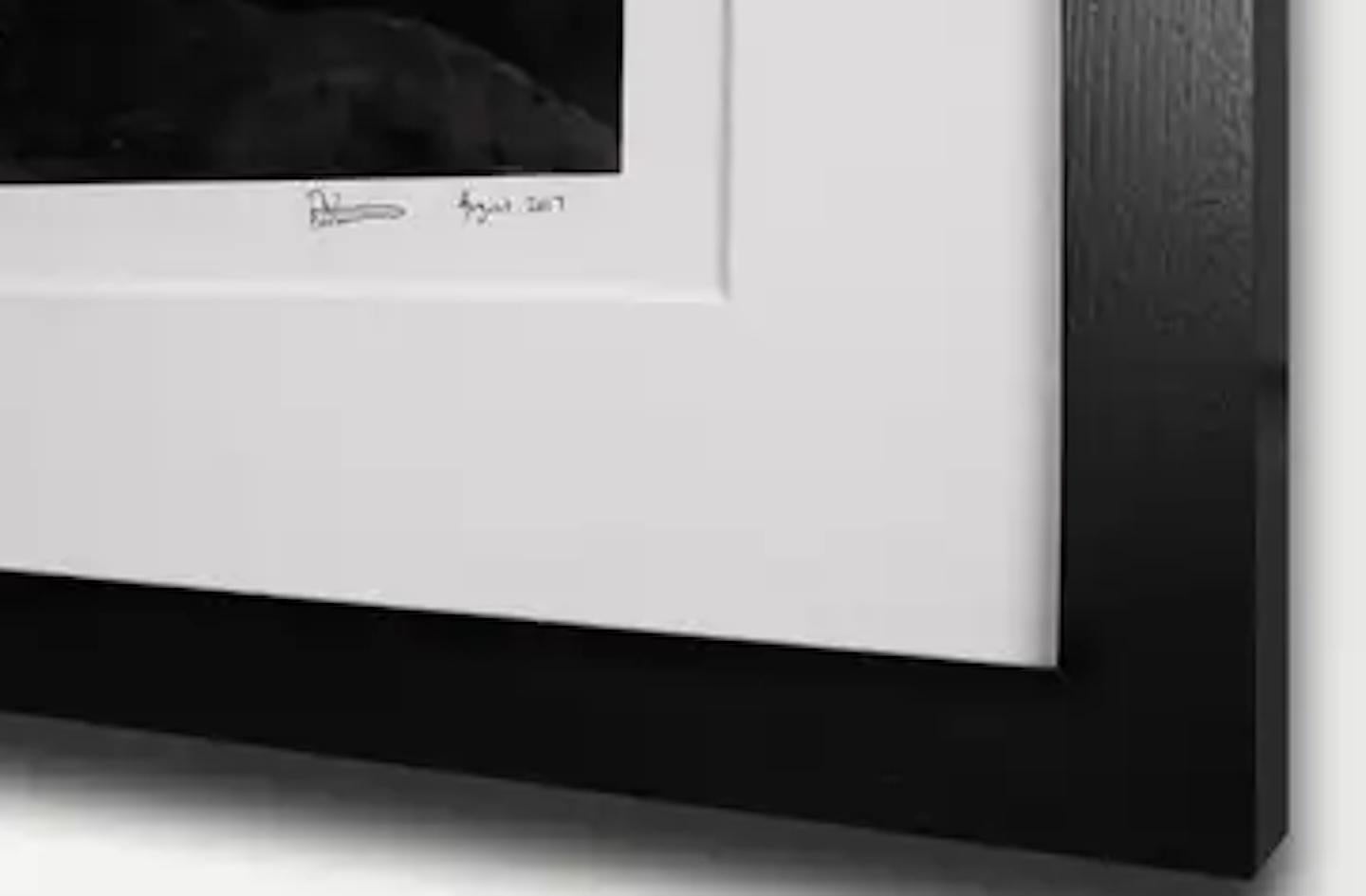 1955 Porsche Continental - David Yarrow For Sale 7