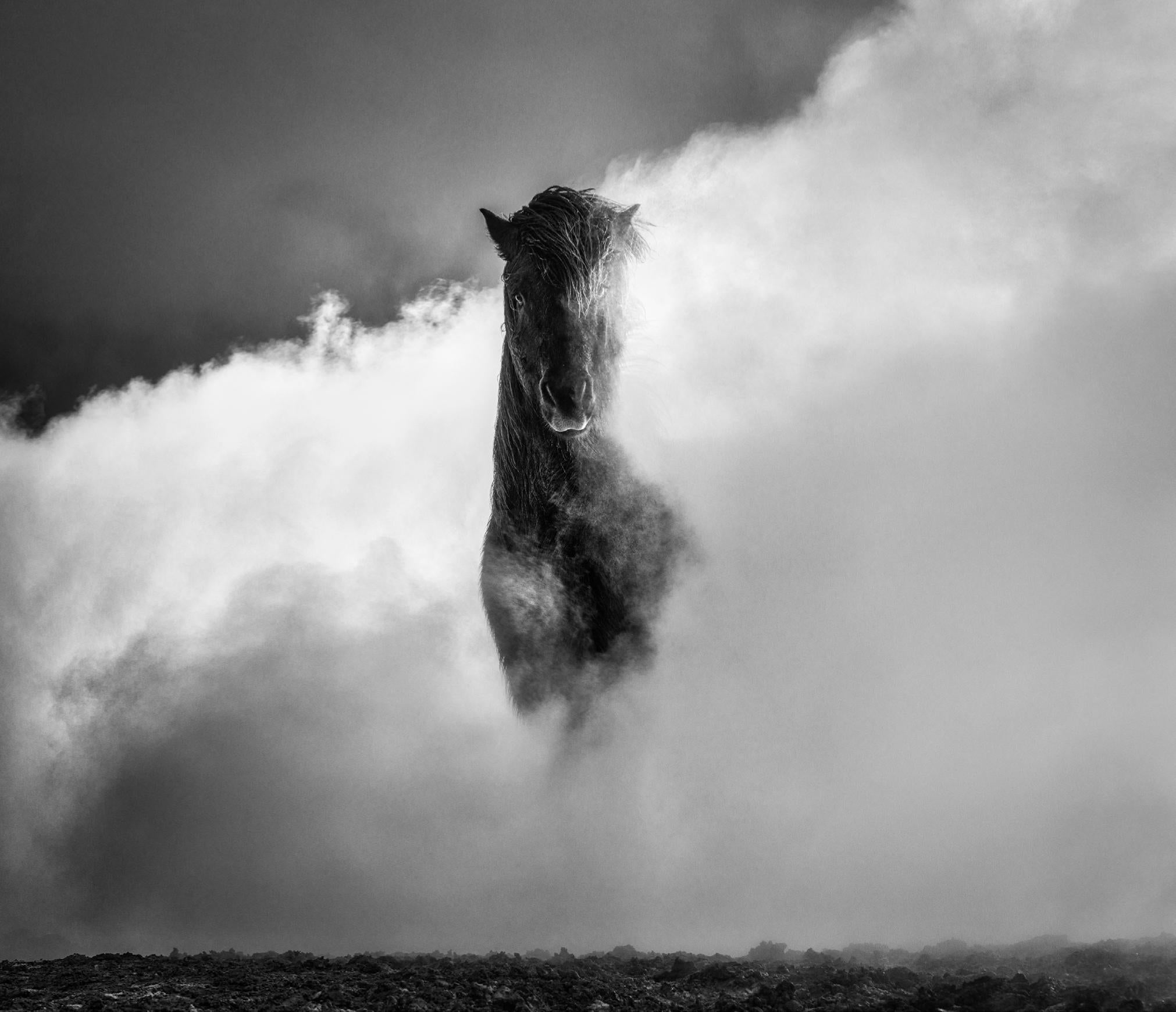 David Yarrow Black and White Photograph - 66 Degrees North