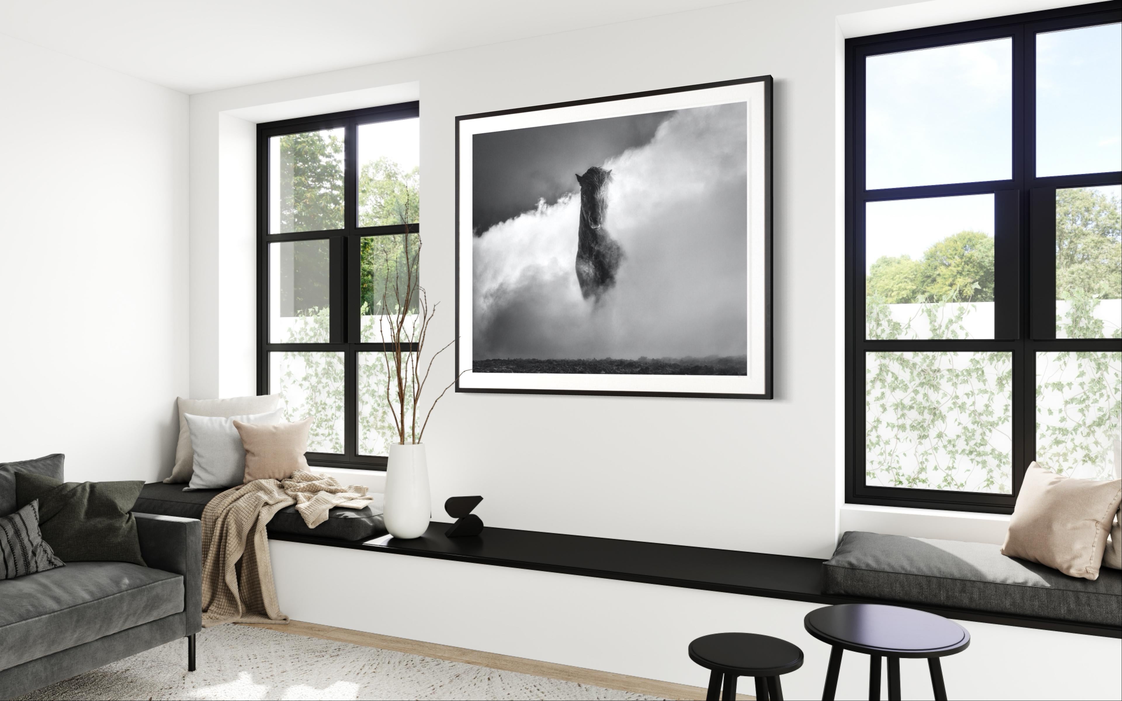 „66 Degrees North“ Wold-Pferd-Schau in Namafjall Georhermal-Gebirge, Island – Photograph von David Yarrow