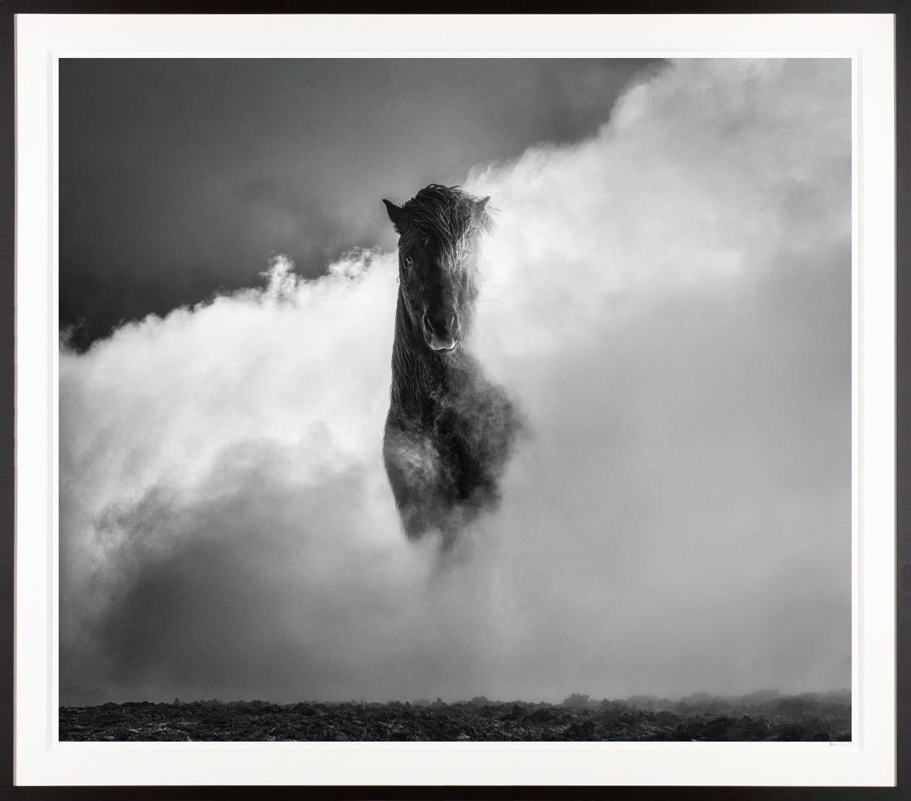 David Yarrow Landscape Photograph - "66 Degrees North" Wold Horse Shot in Namafjall Georhermal Area, Iceland 