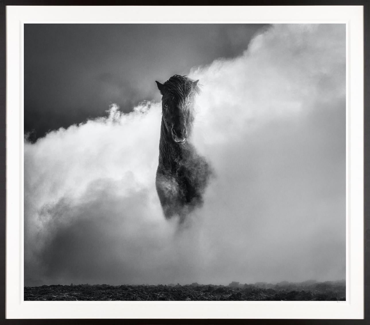David Yarrow Landscape Photograph – „66 Degrees North“ Wold-Pferd-Schau in Namafjall Georhermal-Gebirge, Island