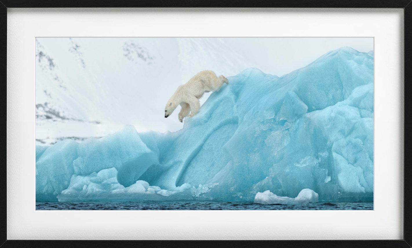 80 degrees North - Polarbear on Blue Ice, Fine Art Photography, 2022 (Blau), Figurative Photograph, von David Yarrow