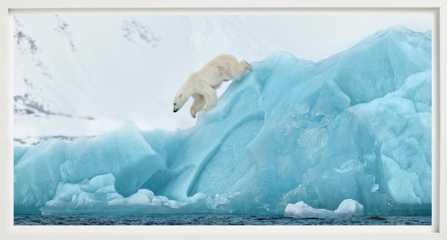 Eisbär beim Klettern über einen blauen Eisberg, fotografiert von David Yarrow im Jahr 2022.

Alle Drucke sind in limitierter Auflage erhältlich. Erhältlich in mehreren Größen. Hochwertige Einrahmung auf Anfrage.

Alle Drucke werden von der