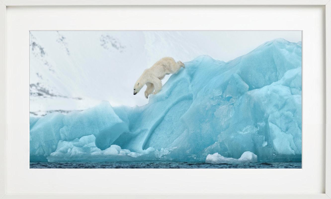 80 degrees North - Polarbear on Blue Ice, Fine Art Photography, 2022 im Angebot 1