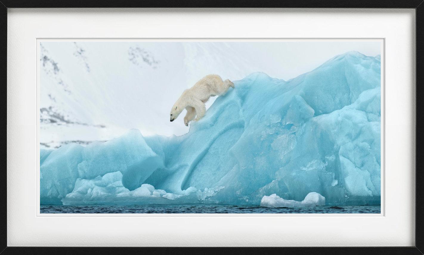 80 degrees North - Polarbear on Blue Ice, Fine Art Photography, 2022 im Angebot 3