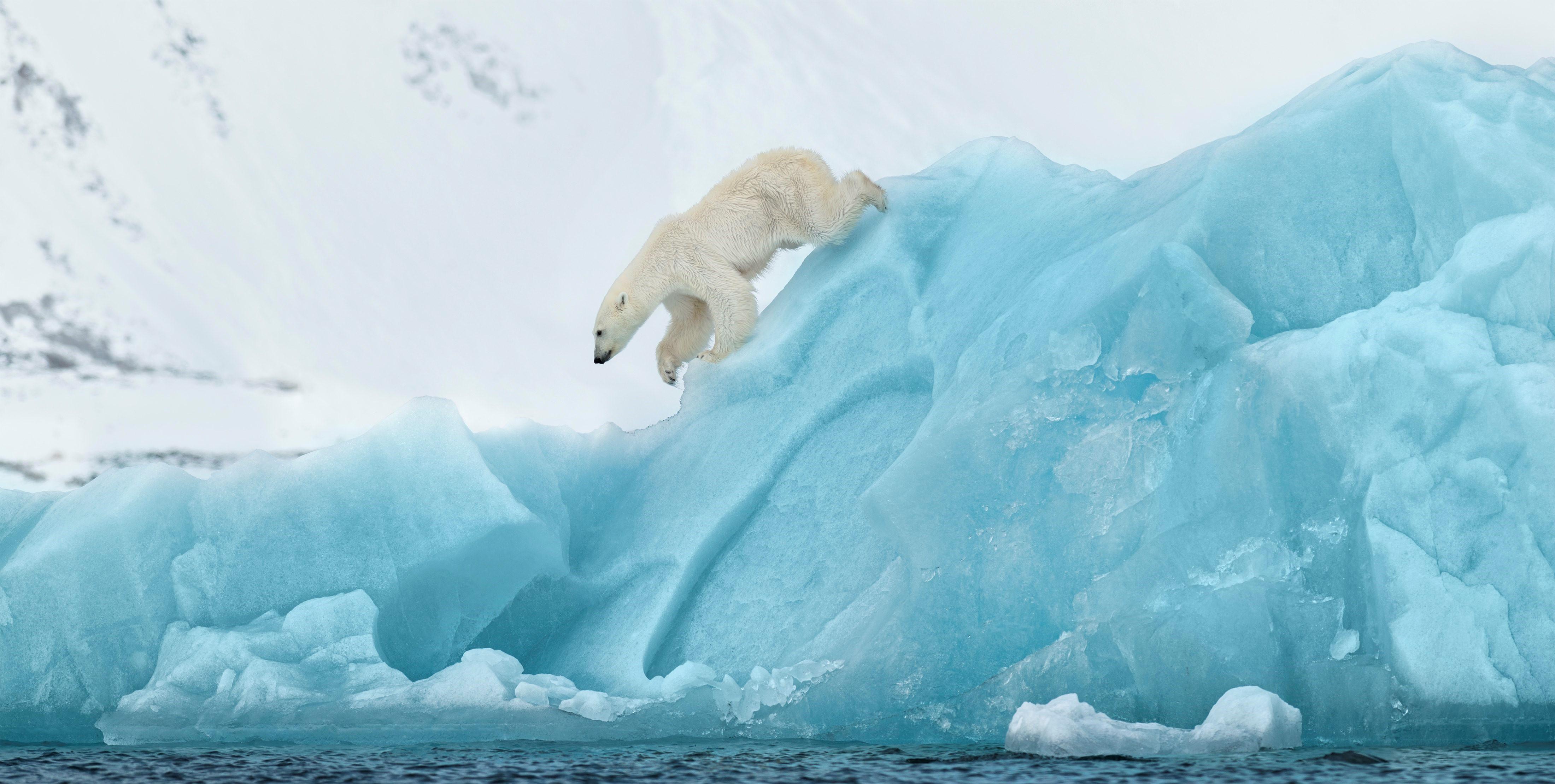 David Yarrow Figurative Photograph – 80 degrees North - Polarbear on Blue Ice, Fine Art Photography, 2022