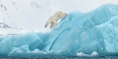 80 Degrees North - Polarbear on Blue Ice, Fine Art Photography, 2022
