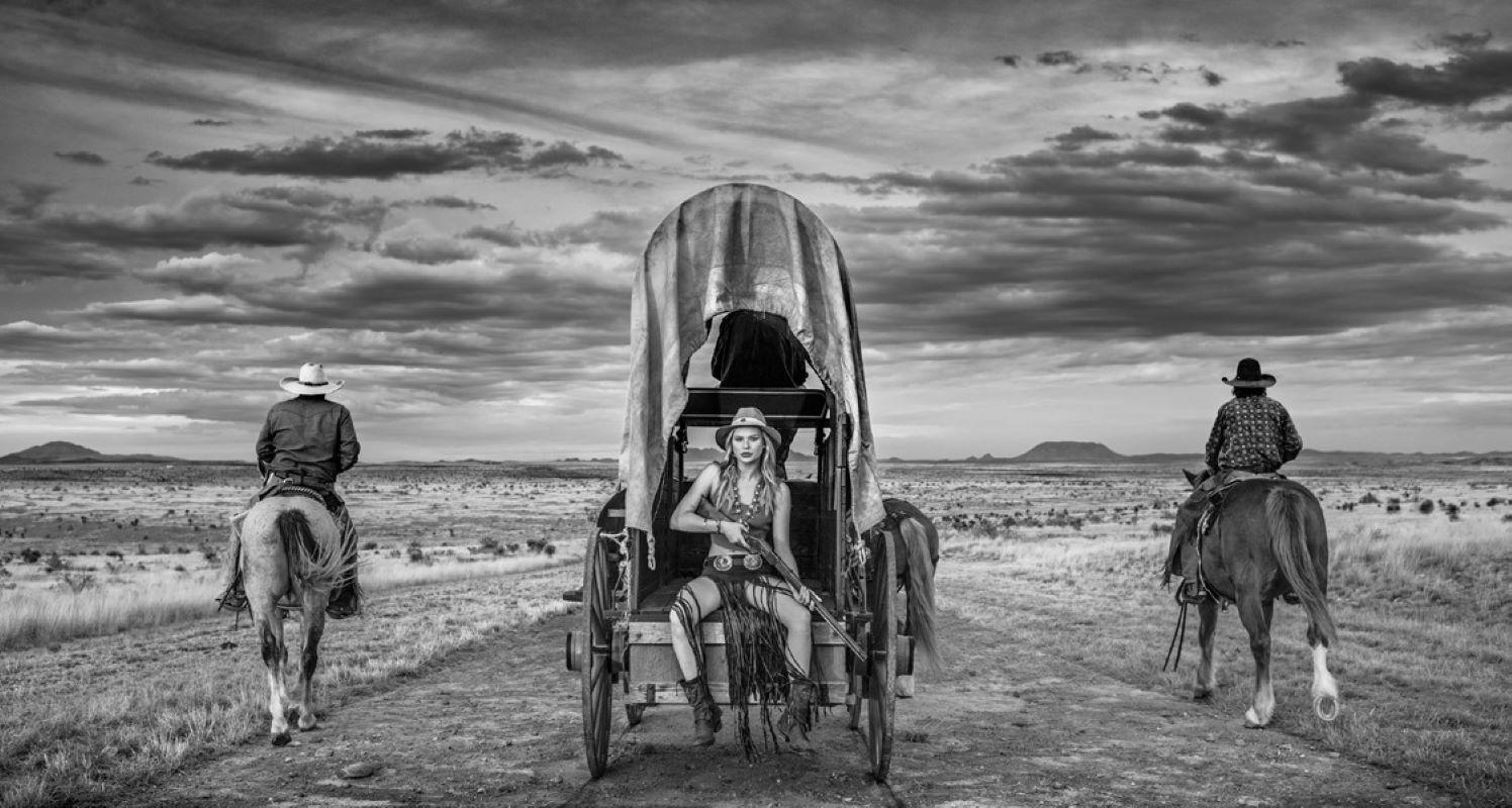 David Yarrow Art 763 For Sale at 1stdibs