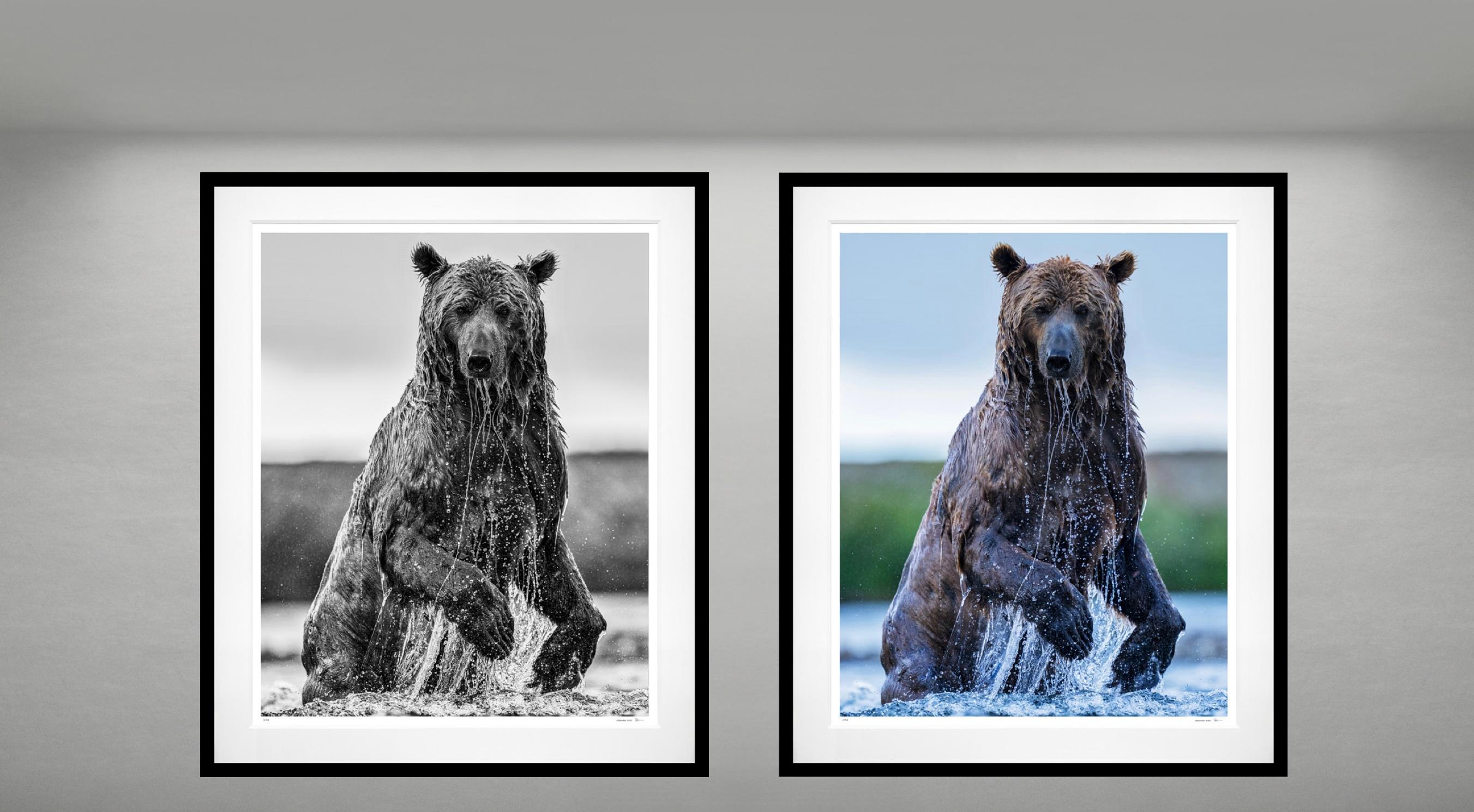 Backcountry (Black + White) par David Yarrow 2025 en vente 3