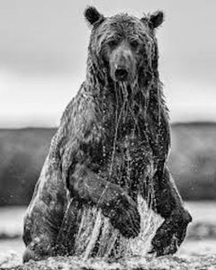 Backcountry (Schwarz + Weiß) von David Yarrow 2025