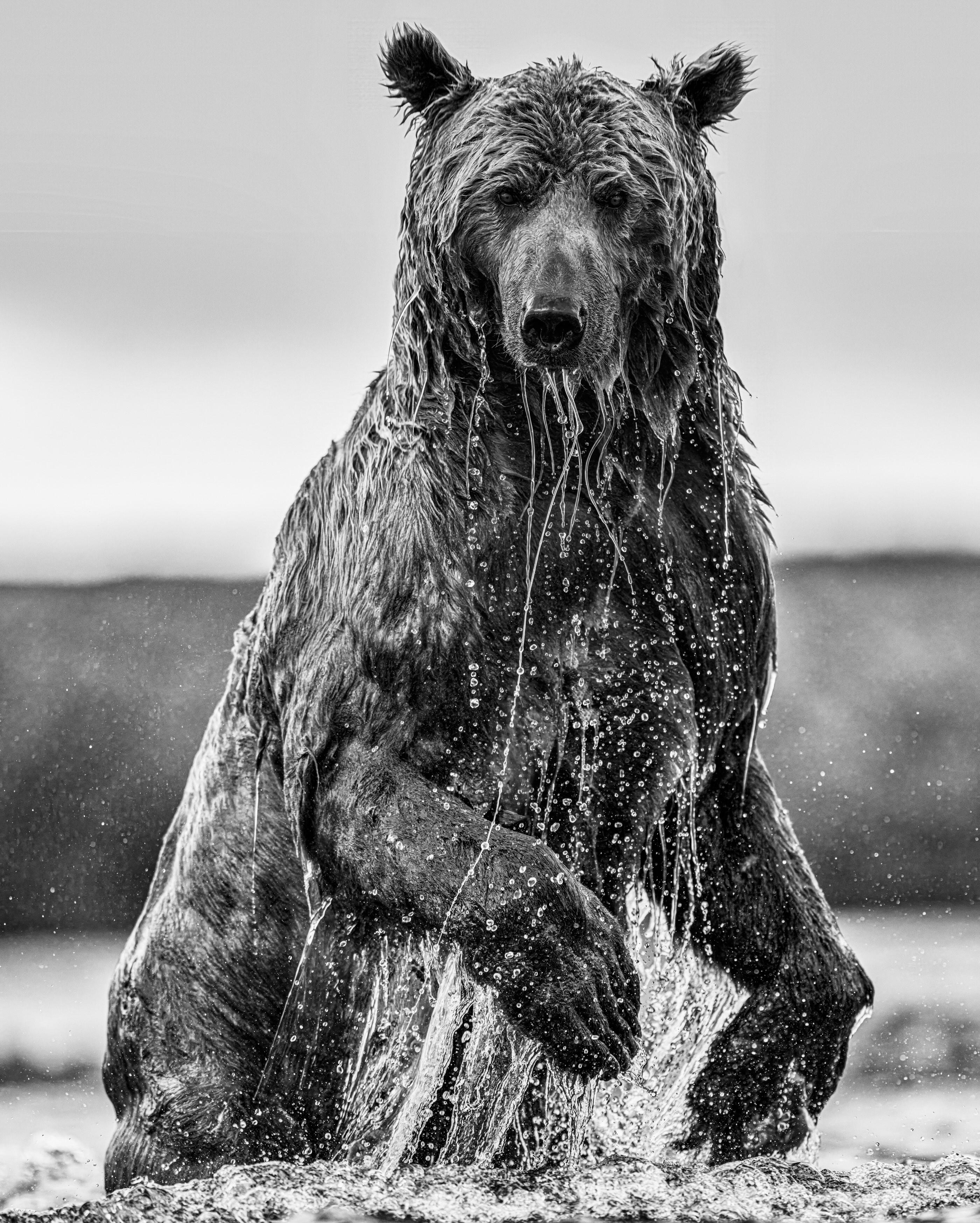 Backcountry (Black + White) par David Yarrow 2025