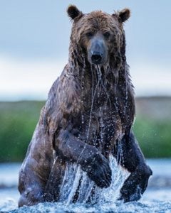 Backcountry (Farbe) von David Yarrow 2025