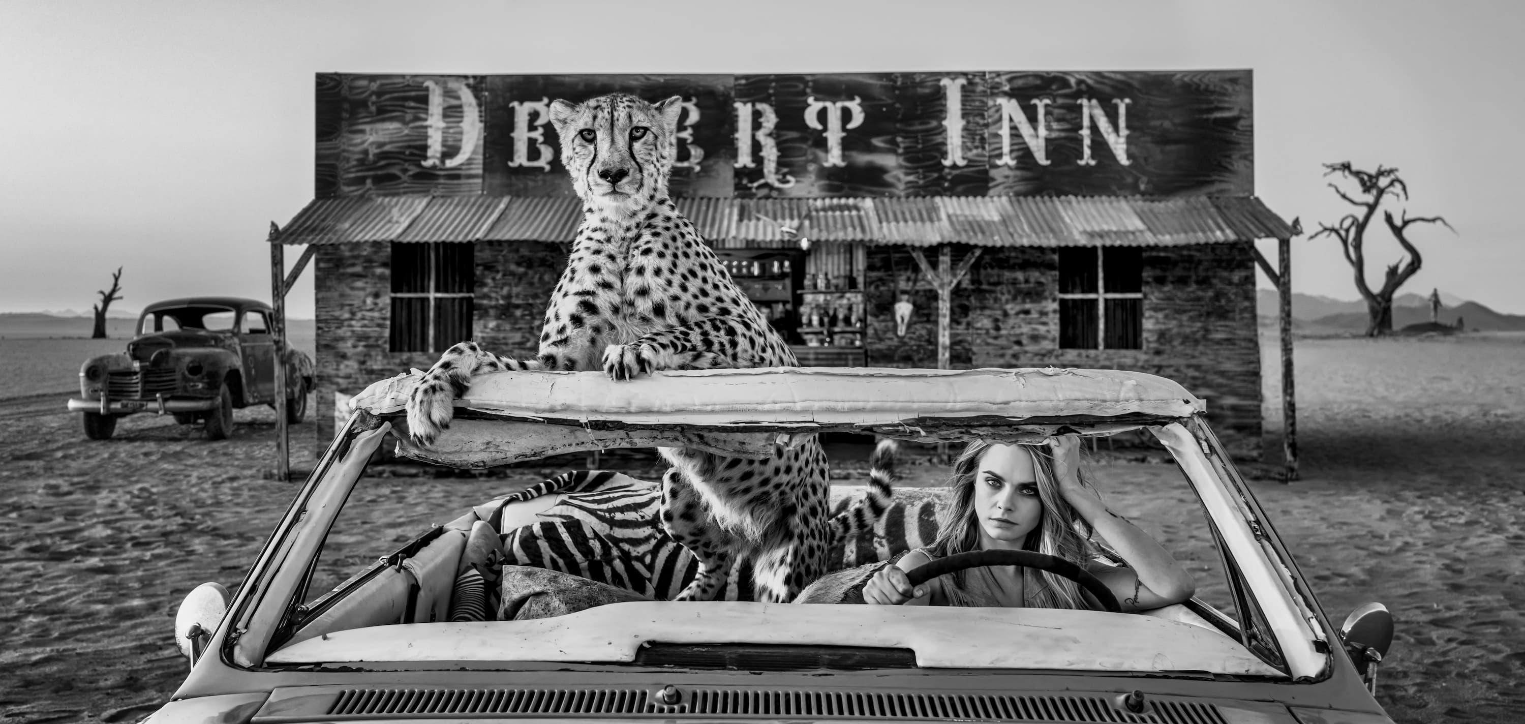 Bad Asses B&W by David Yarrow - Cara Delevingne - Cheetah - Namibia - Bar - Car