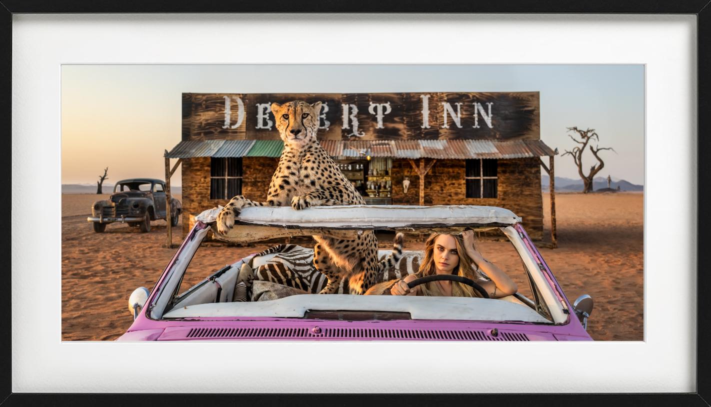 Bad Asses, Color, Fotografía artística - Photograph Contemporáneo de David Yarrow