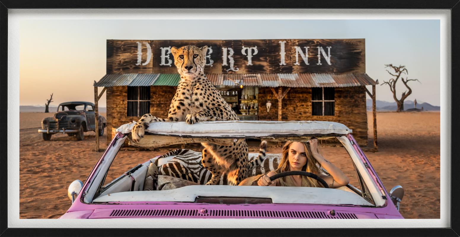 Bad Asses, Color, Fotografía artística - Figurative Photograph Marrón de David Yarrow