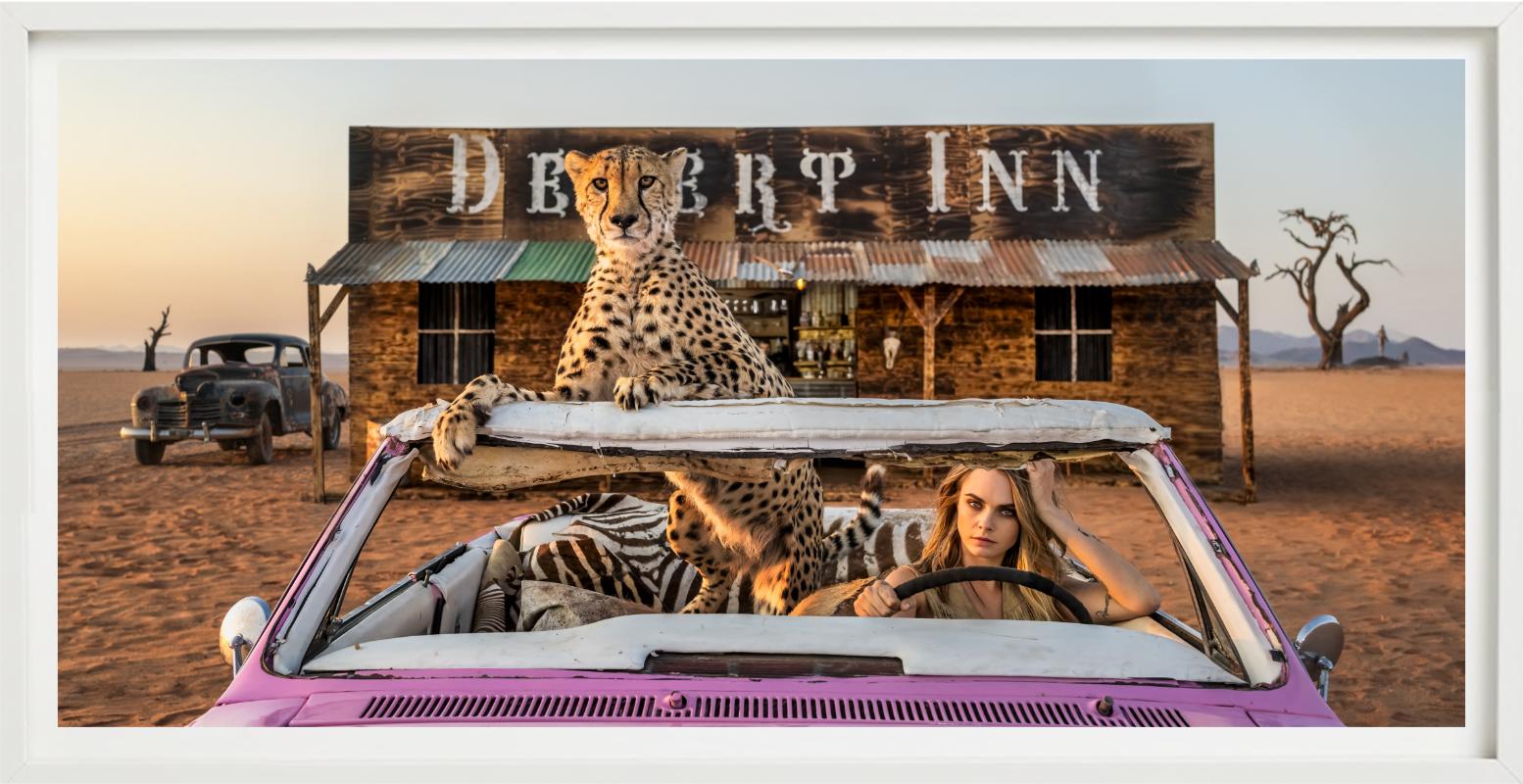 Bad Asses, Color, Fotografía artística en venta 2