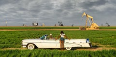 Bada Bing (Colour) by David Yarrow - New Release - Texas - Oil - Pontiac