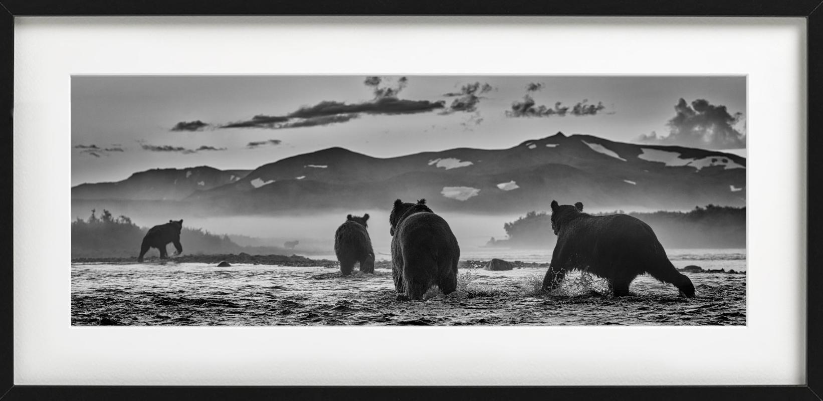 'Bear Market' - a group of Bears in a lake, fine art photography, 2023 - Photograph by David Yarrow