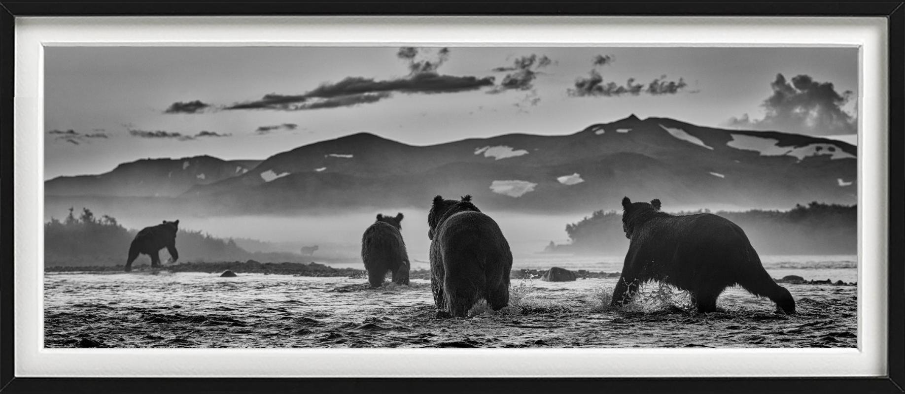 'Bear Market' - a group of Bears in a lake, fine art photography, 2023 - Contemporary Photograph by David Yarrow