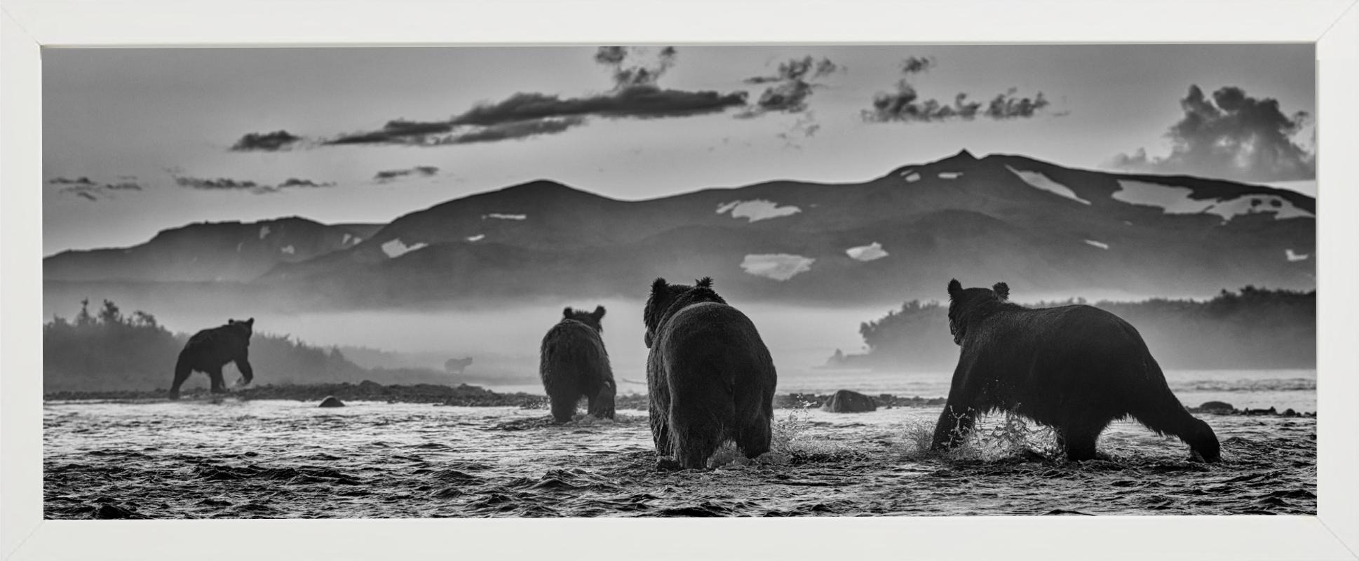 'Bear Market' - a group of Bears in a lake, fine art photography, 2023 For Sale 2