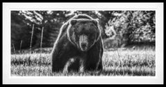 „Vorsicht vor dem Bären“ (Schwarz-Weiß) von David Yarrow – Braunbär – Naturfotografie