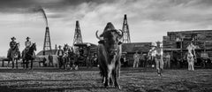 Bison Oil and Gas (B&W) - David Yarrow New Release