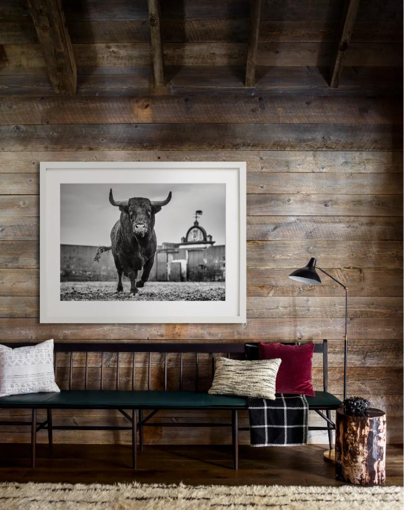 Bullish - Closeup of a Bull at Miura Cattle Ranch, fine art photography, 2024 - Contemporary Photograph by David Yarrow