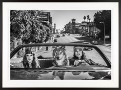 ""Castle on Sunset" Sexy Schwarzweißes Foto Chateau Marmont Los Angeles mit Wolf
