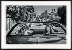 "Castle on Sunset" Sexy Model and Wolf in Los Angeles Chateau Marmont