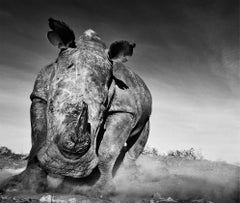 Charge, Kenya by David Yarrow - Contemporary Wildlife Photography - Rhino
