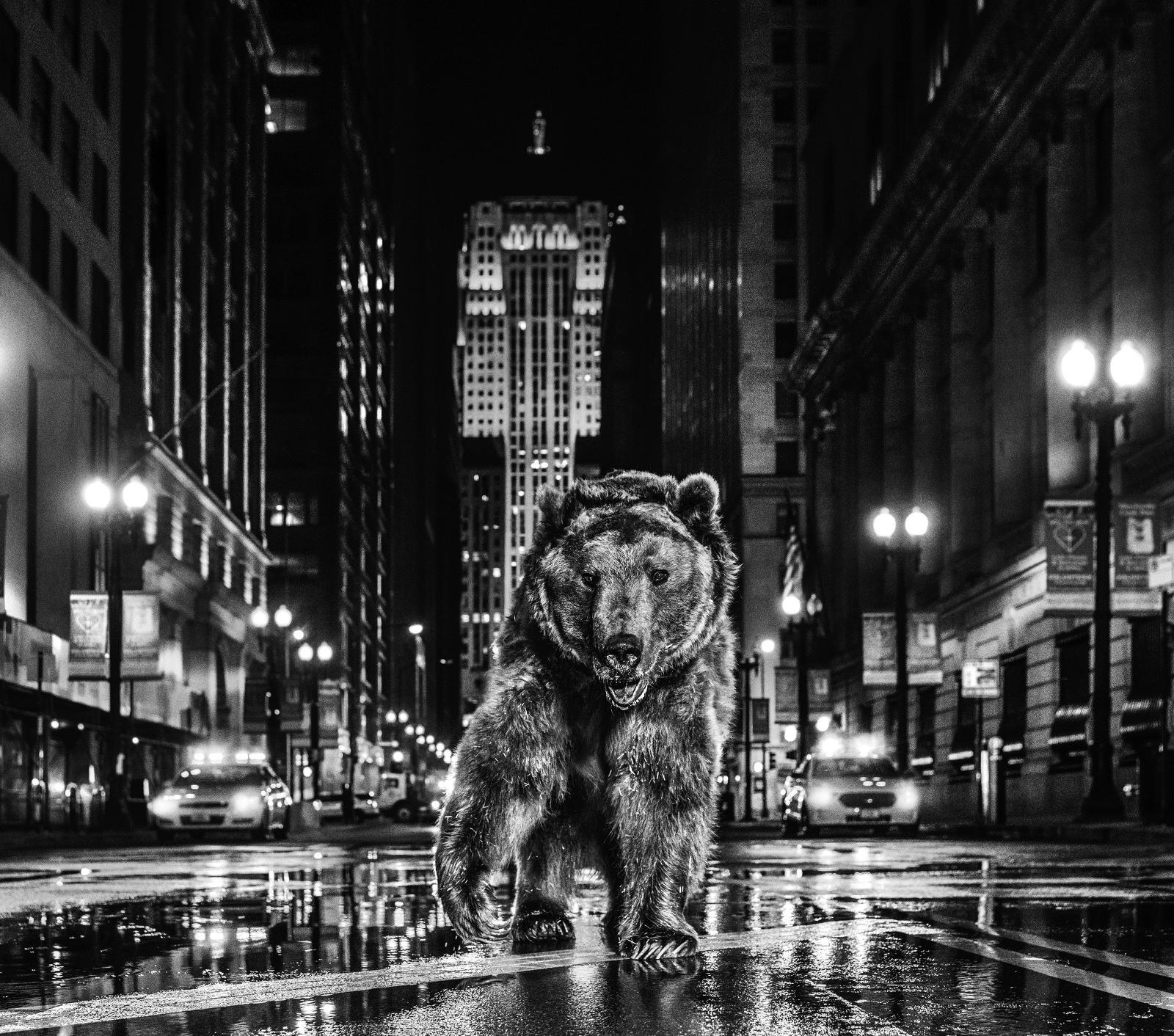Orso di Chicago
La città di Chicago - 2019

Taglie:

Dimensioni standard
Dimensione immagine: 37" x 41"
Con cornice Dimensioni: 52" x 56"

Dimensioni grandi
Dimensioni dell'immagine: 56" x 63.5"
Incorniciato Dimensioni: 71" x 78.5"

Dichiarazione