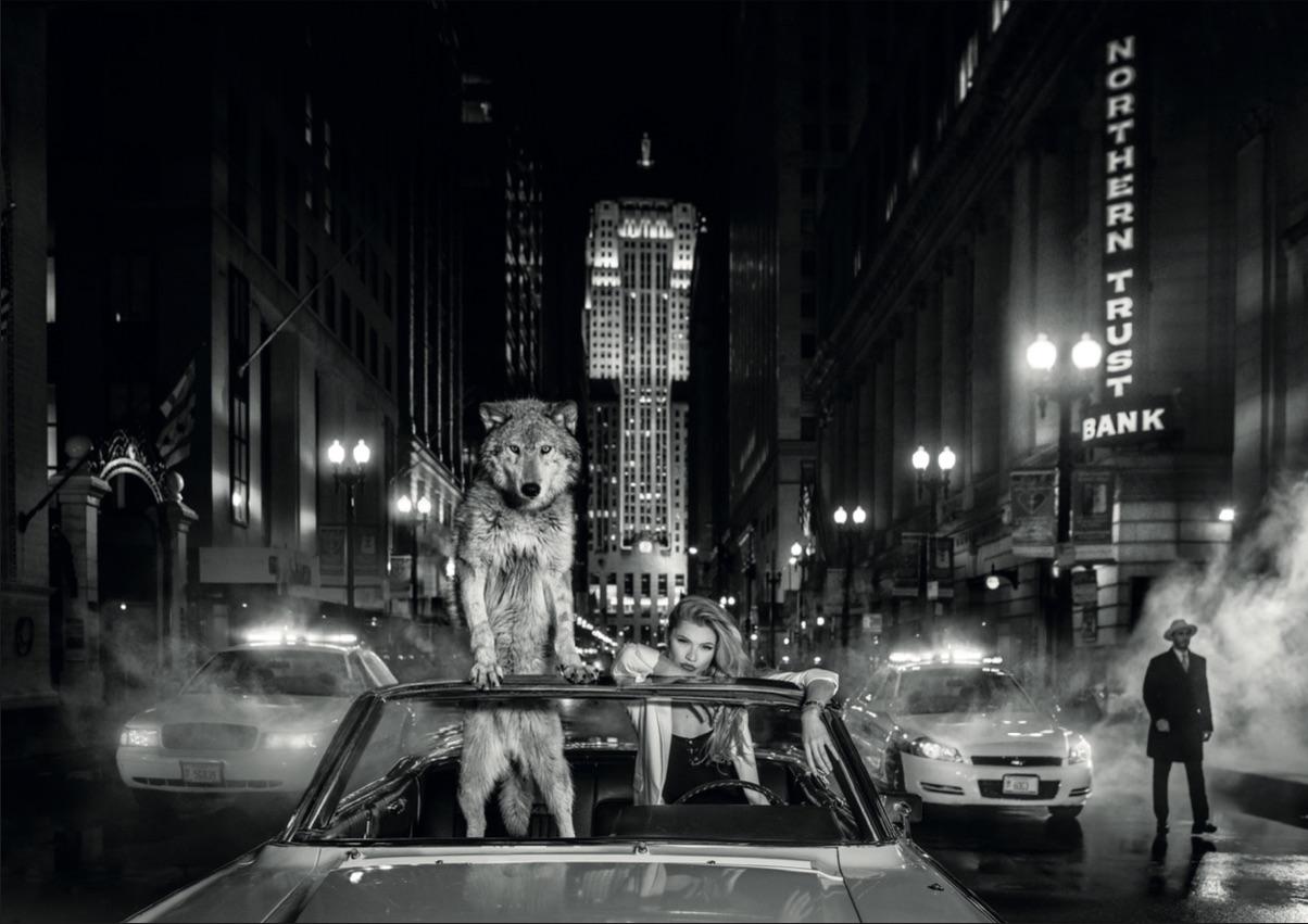 "Chicago"

Archival Pigment Print 
Price include David Yarrow's custom black ash frame with white linen archival mat and UV protective acrylic. 
Each is signed, dated and numbered on the front. 

Large
Edition of 12
Unframed Size: 56" x 79"
Framed