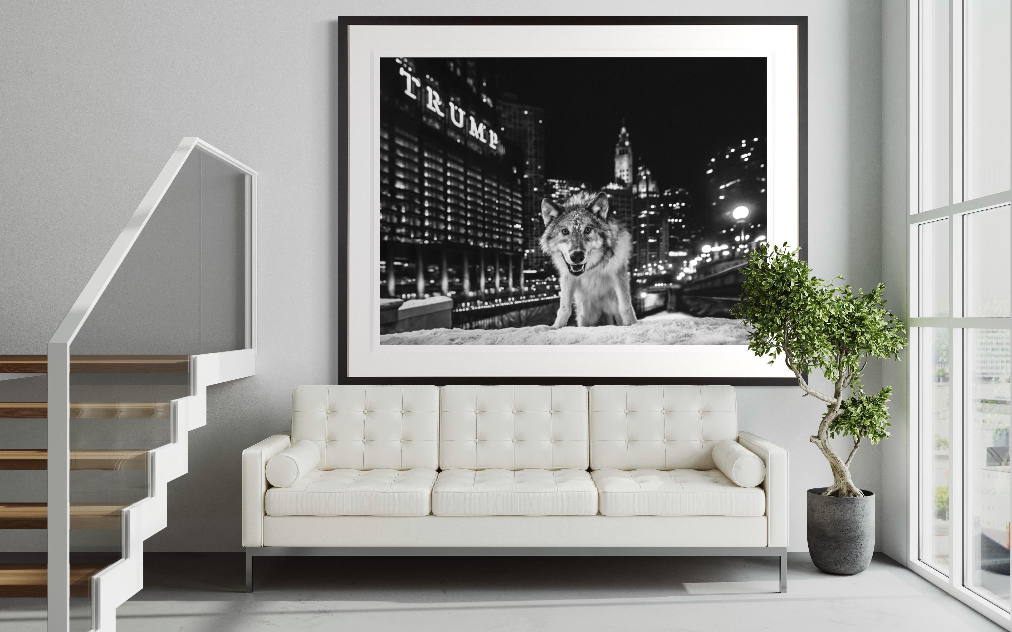 Fotografía de David Yarrow 