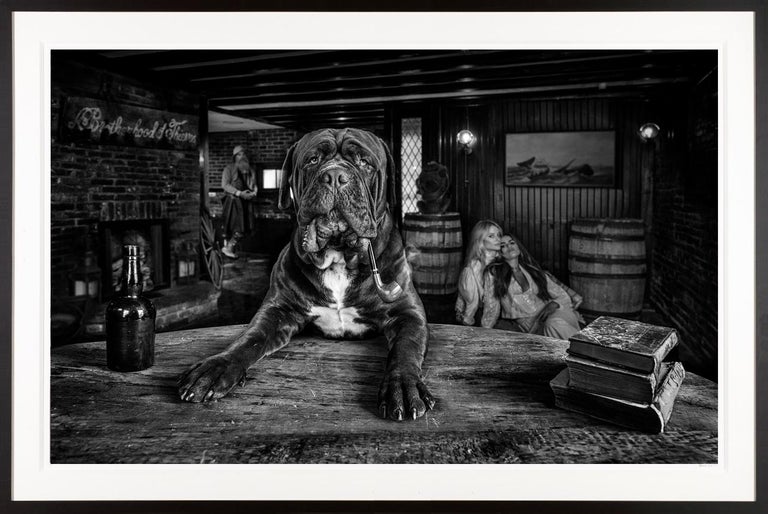 David Yarrow - David Yarrow Photograph "The Dogfather" on Nantucket Island  For Sale at 1stDibs