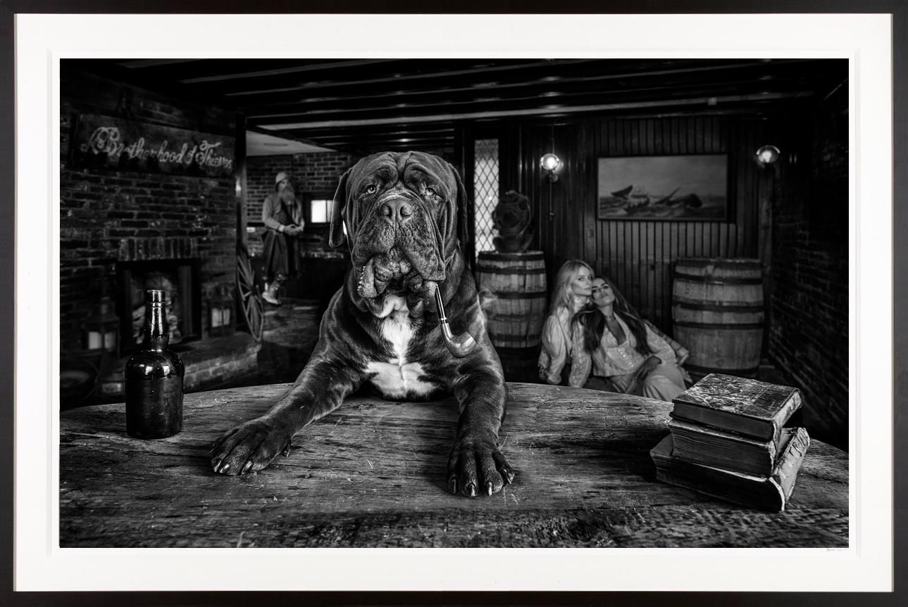 David Yarrow Photograph "The Dogfather" on Nantucket Island