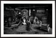 David Yarrow Photograph „The Dogfather“ auf Nantucket Island