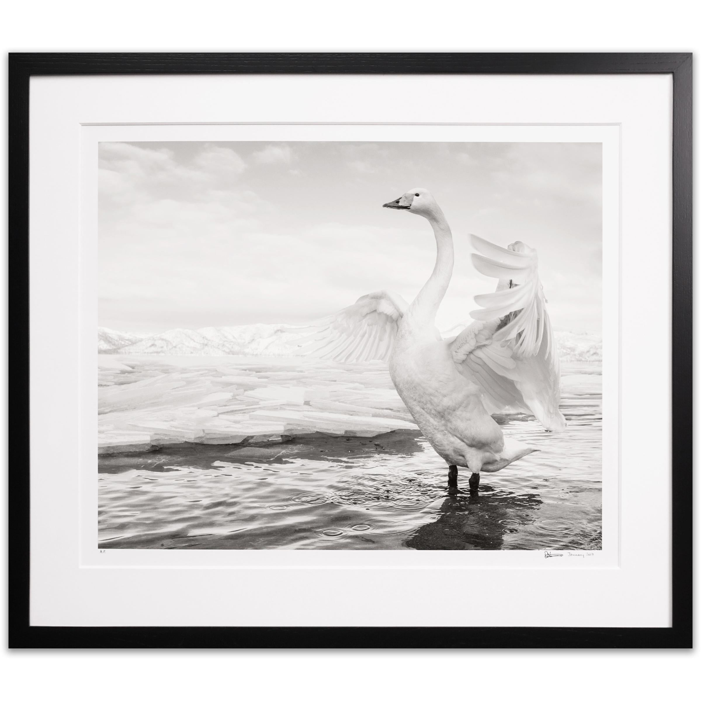 David Yarrow Art 655 For Sale at 1stDibs david yarrow photography