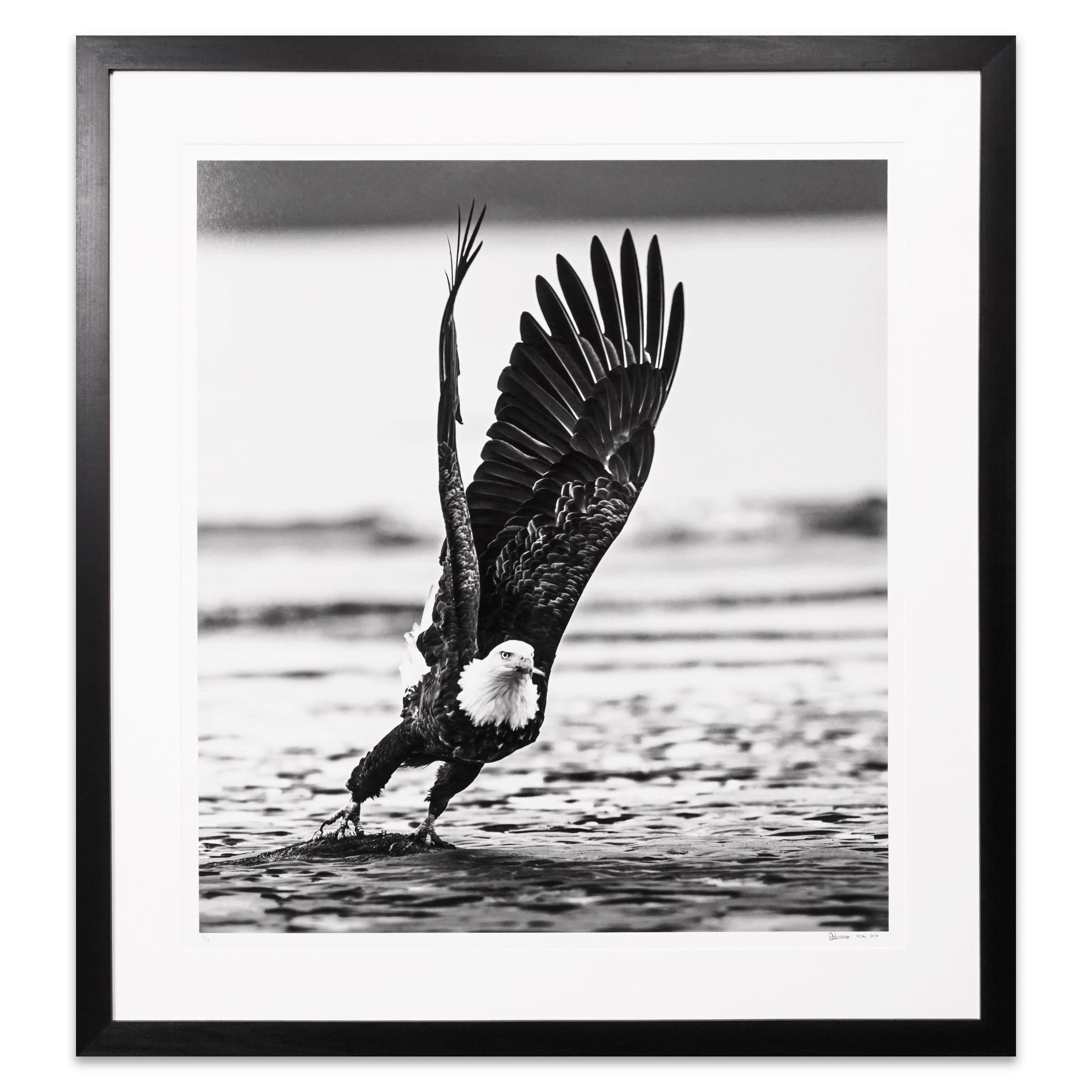 David Yarrow Art 771 For Sale at 1stDibs "chateau marmont", buy