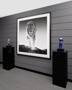 David Yarrow, 'The Old Testament' Lion in Dinokeng, South Africa, 2017