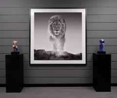 David Yarrow, 'The Old Testament' Lion in Dinokeng, South Africa, 2017