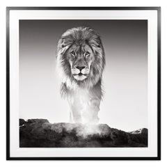 David Yarrow, 'The Old Testament' Lion in Dinokeng, South Africa, 2017