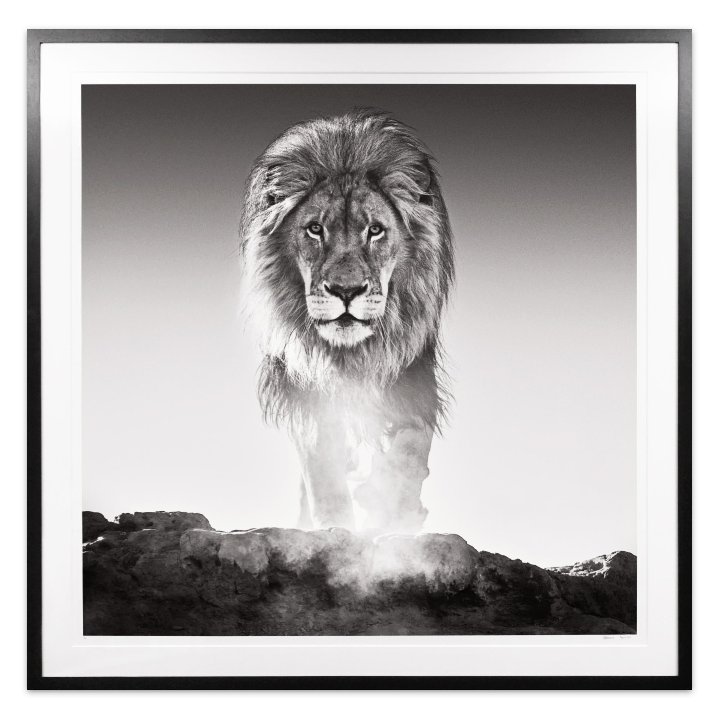 David Yarrow Photography 515 For Sale at 1stDibs buy david yarrow
