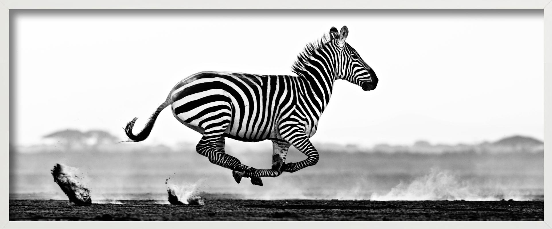 Vol dans le désert - course de zèbres, vue panoramique, photographie d'art, 2014 - Contemporain Photograph par David Yarrow