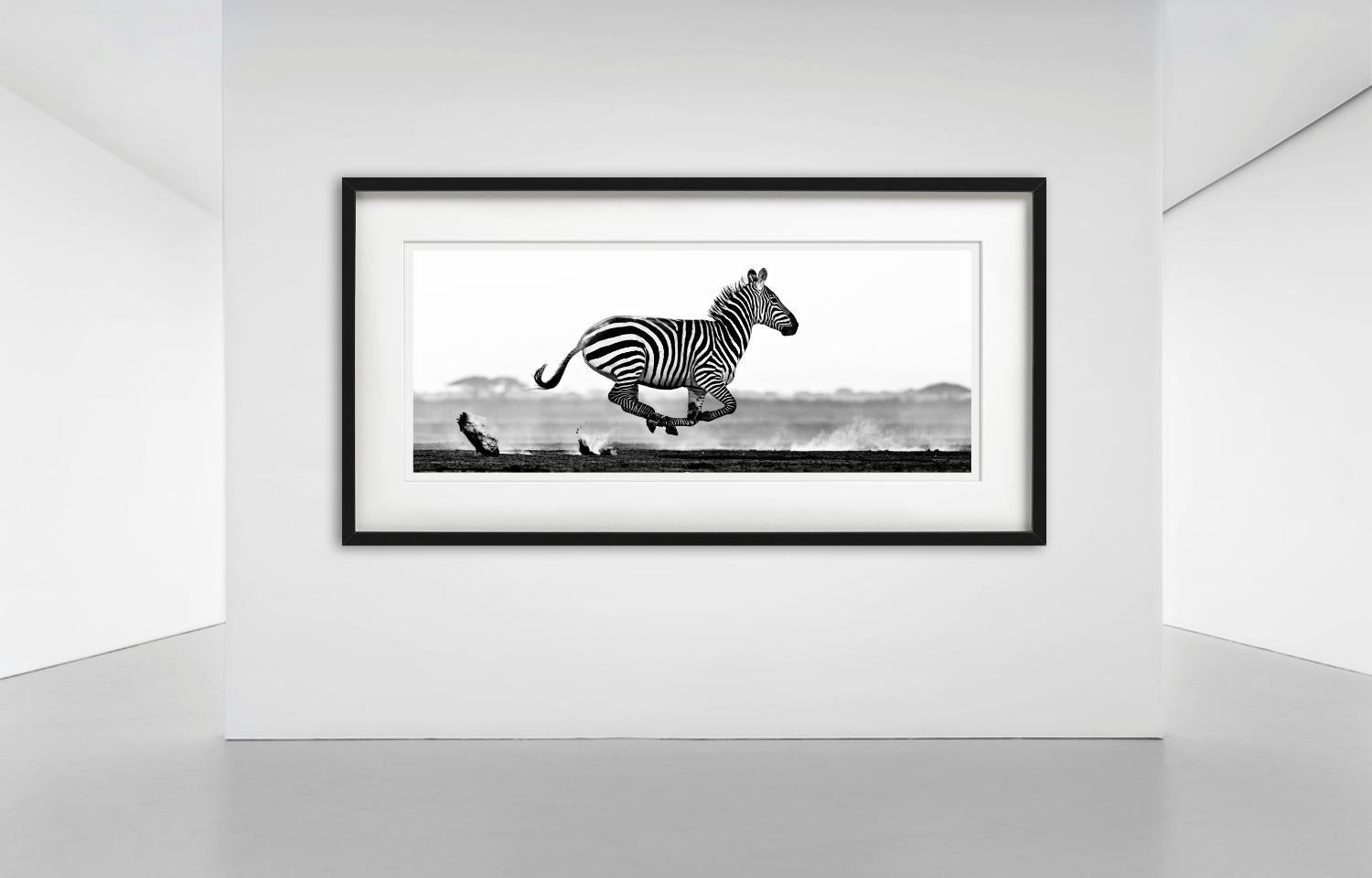 Desert Flight, une prise de vue dynamique d'un zèbre en mouvement, photographie pittoresque, idyllique, en noir et blanc, photographiée par David Yarrow.  

Tous les tirages sont en édition limitée. Disponible en plusieurs tailles. Encadrement haut