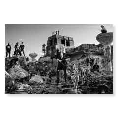 Detroit by David Yarrow - Large - Tiger - Cityscape - Storytelling - Namibia