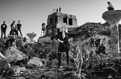 Detroit by David Yarrow - Standard - Tiger - Cityscape - Storytelling - Namibia