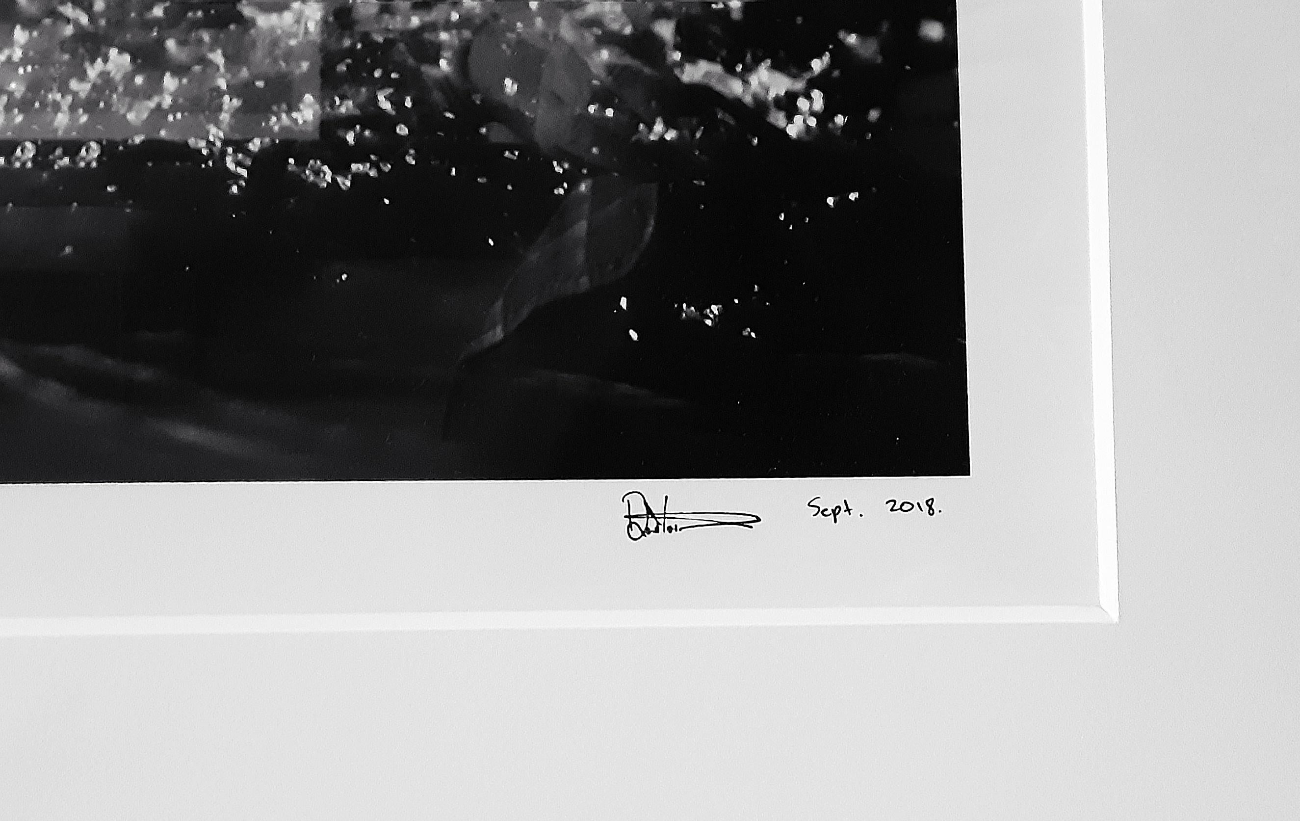 Diamonds In The Sky, Alaska by David Yarrow - Polar Bear - Wildlife Photography For Sale 2