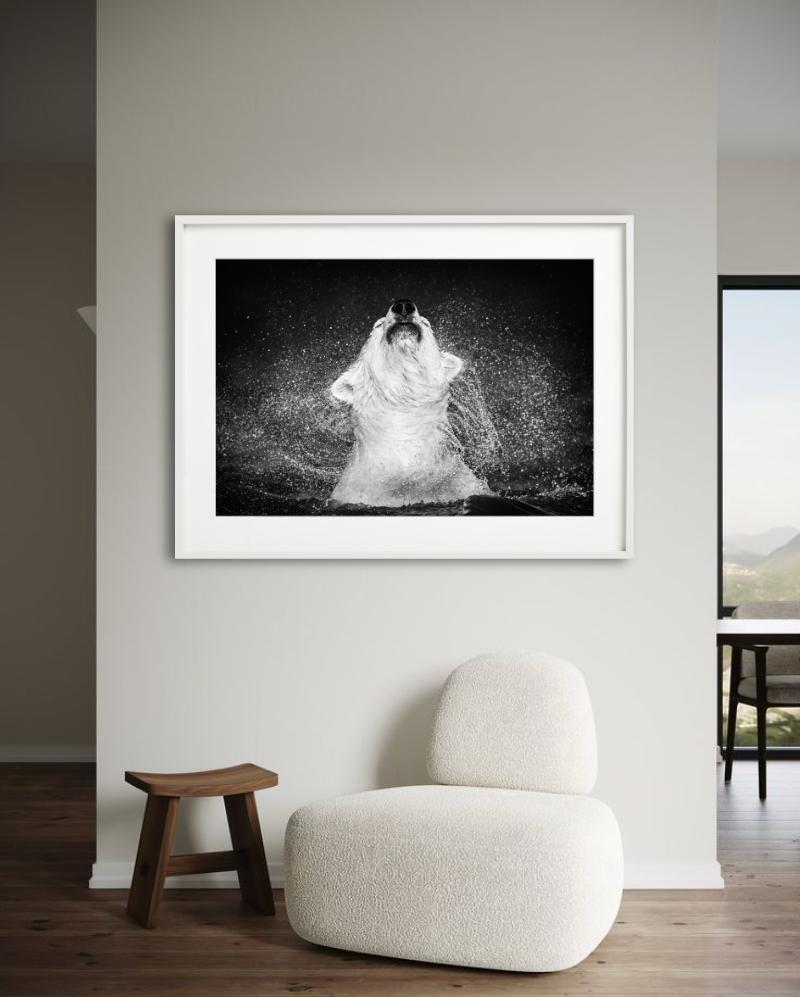 Diamantes en el cielo - Oso polar sacudiendo el agua de, Fotografía artística - Photograph de David Yarrow