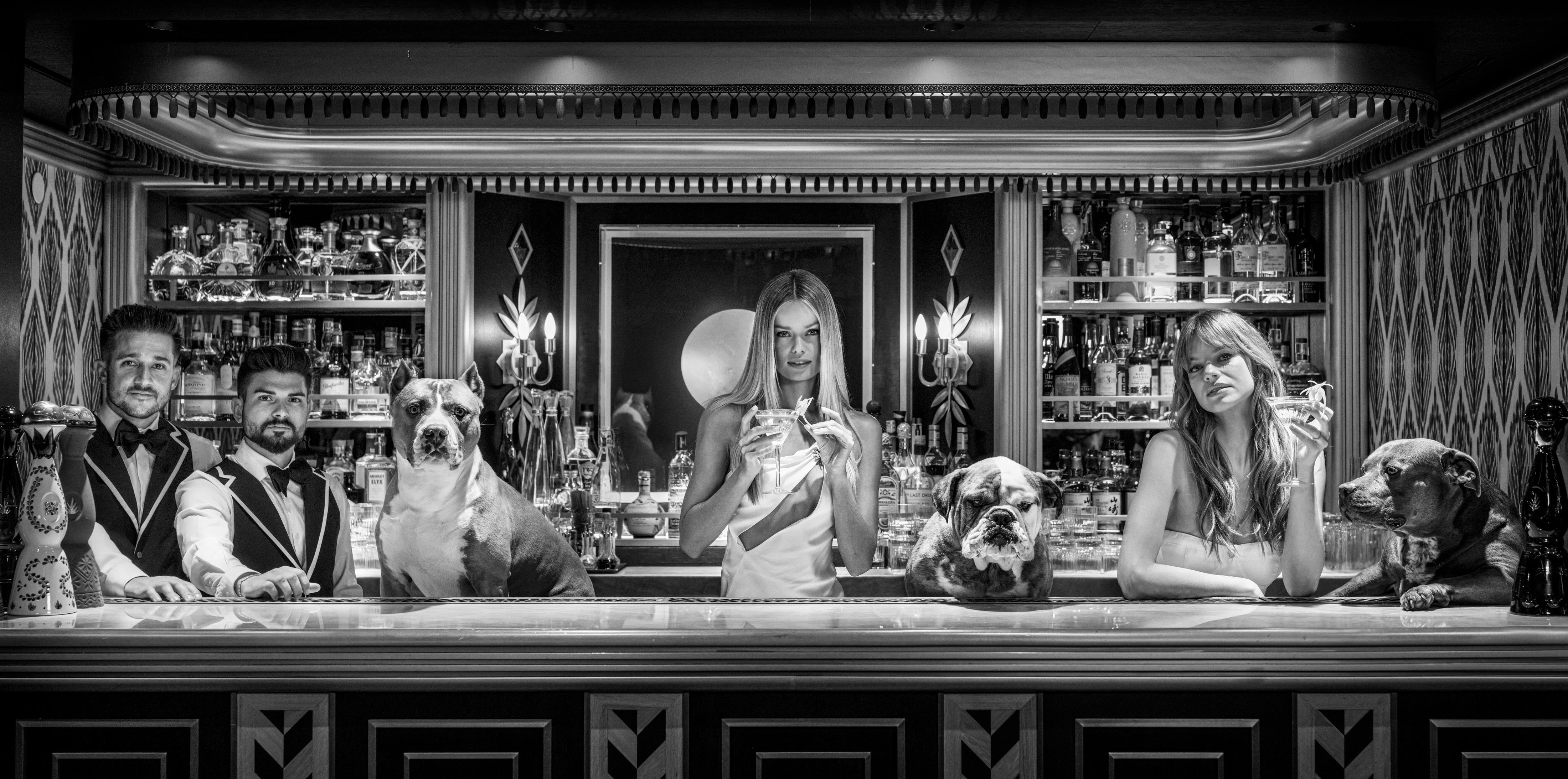 David Yarrow Figurative Photograph - Dogs of Palm Beach